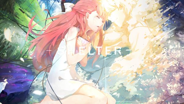 Shelter