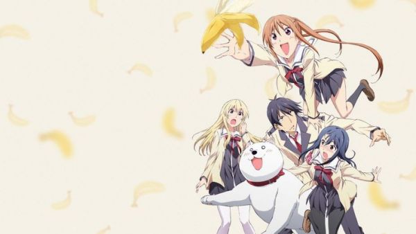 Aho Girl