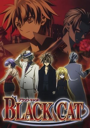 Black Cat