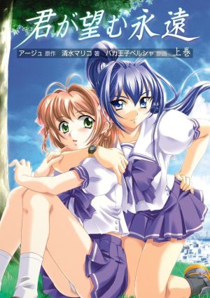 Kimi ga Nozomu Eien