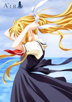Air Soushuuhen