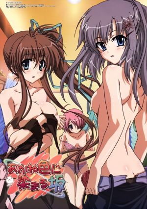 Akaneiro ni Somaru Saka: Hardcore